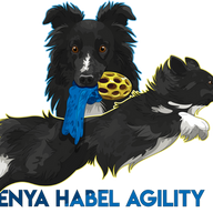 Enya Habel AB logotyp