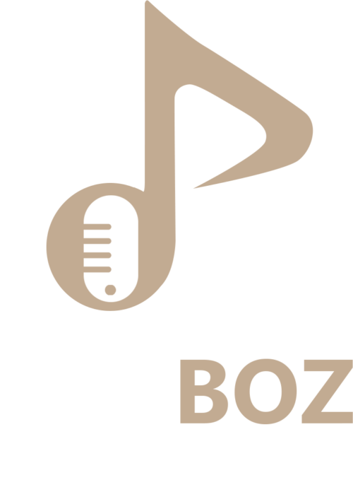 playBOZ Records AB logotyp