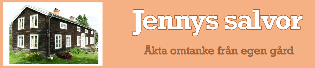 Jennys Salvor AB logotyp