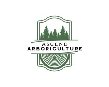 Ascend Arboriculture AB logotyp