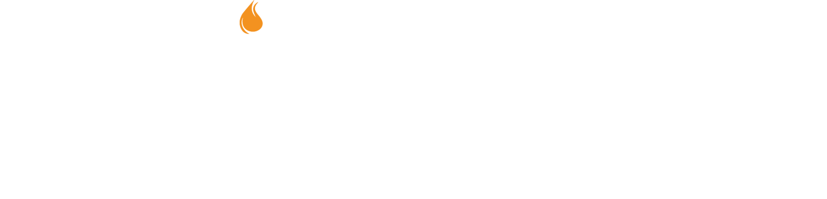 NLisol AB logotyp