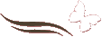 MD Vaxning AB logotyp