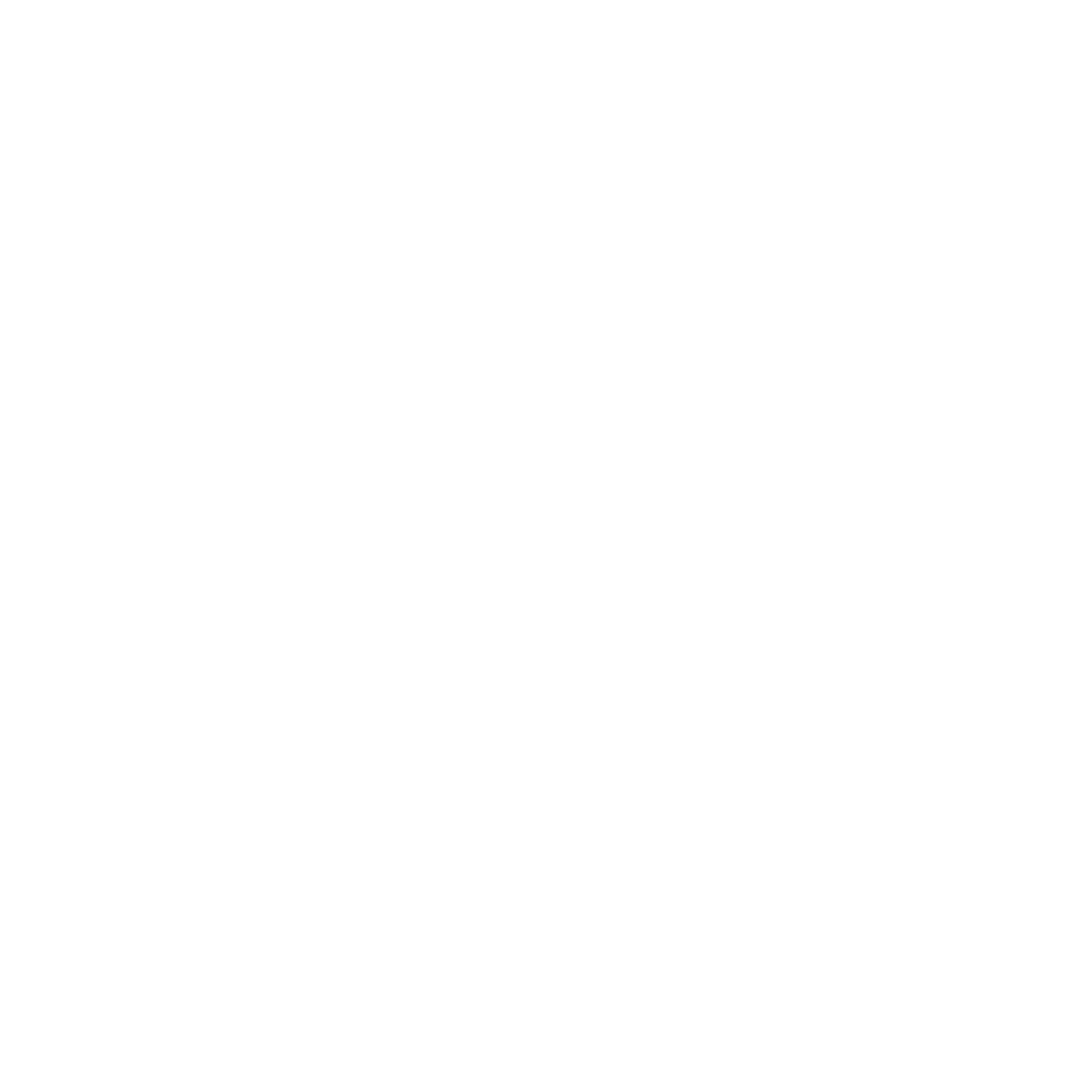 The Skin i Örebro AB logotyp