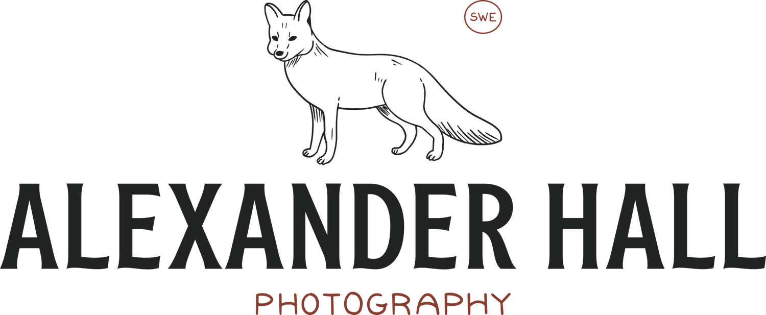 Hall Photography AB logotyp