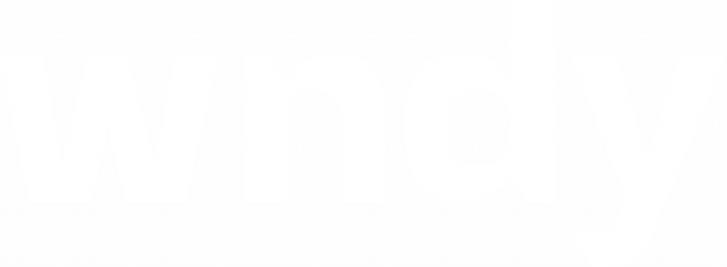 Wndy AB logotyp