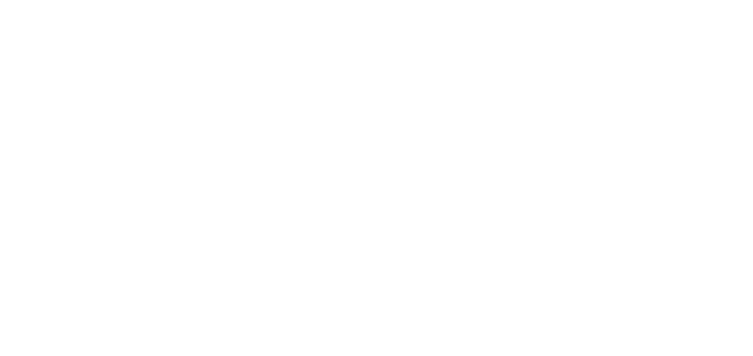 Park Motor Borås AB logotyp