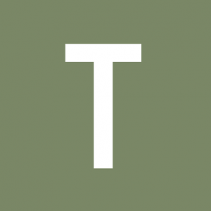 Triwas Fastighetsförmedling Höllviken AB logotyp