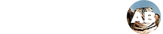 Personal Jesus AB logotyp