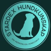 StarDex Education AB logotyp