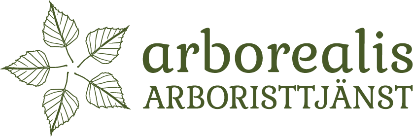 Arborealis Arboristtjänst AB logotyp