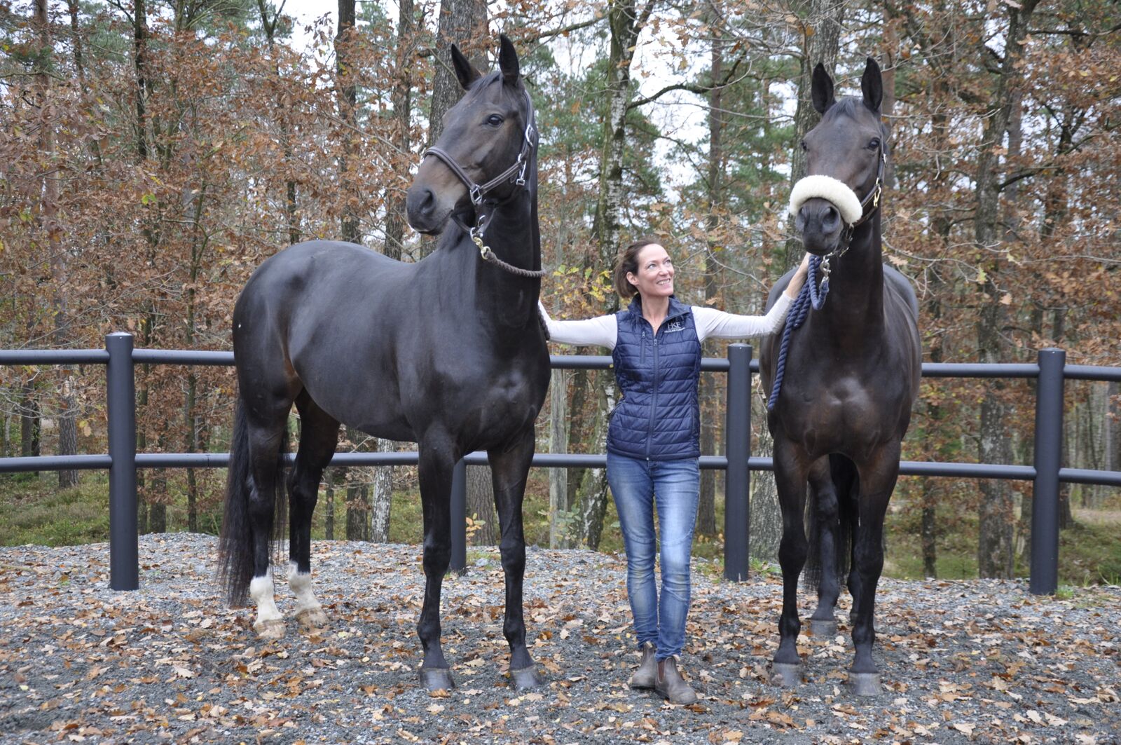 JL Equifys AB logotyp