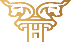 MEDETIUS AB logotyp