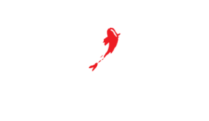 Asiana Group AB logotyp