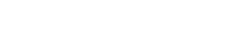 Florin Partners Media Group AB logotyp