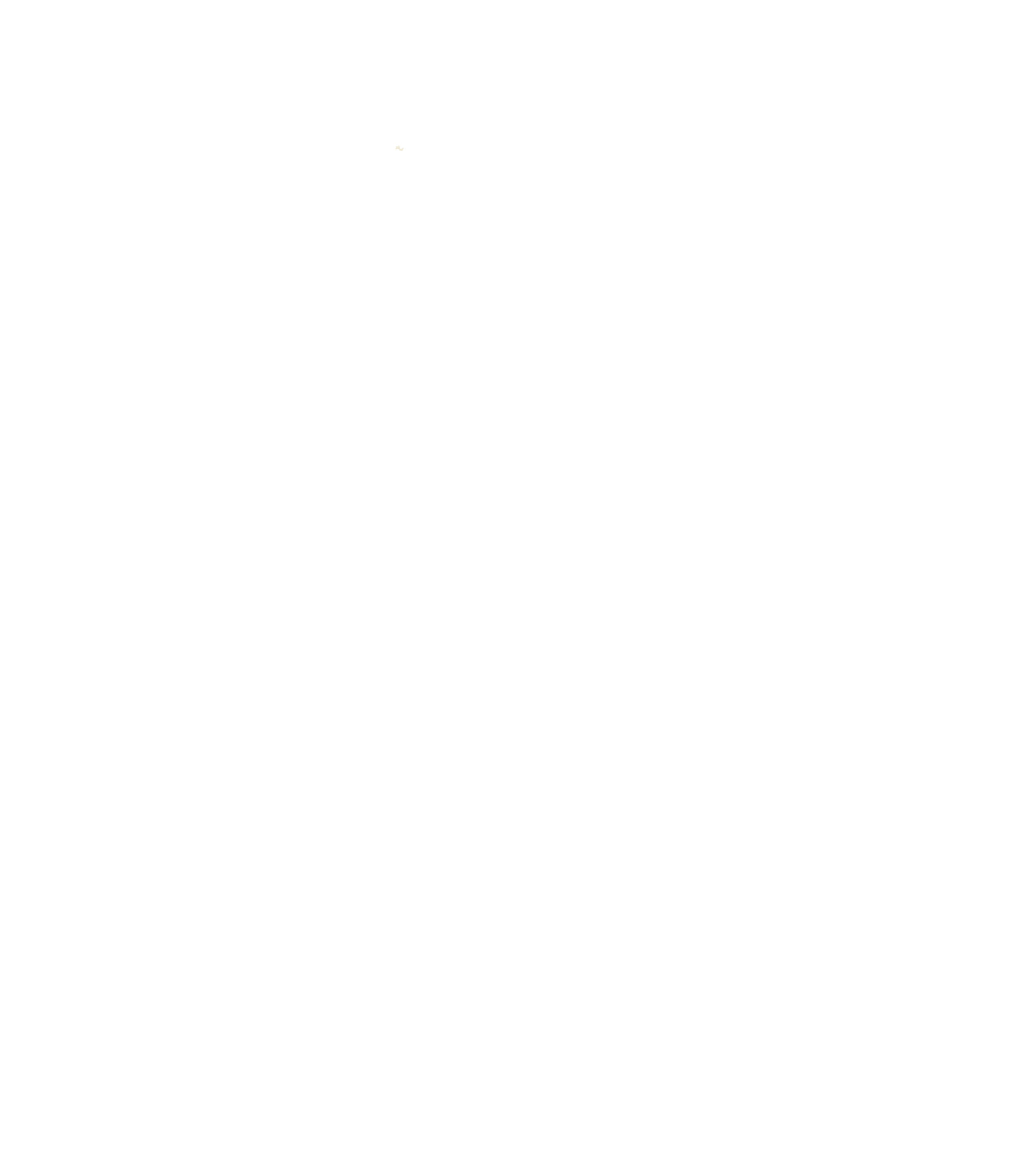 Vik Strand Holding AB logotyp