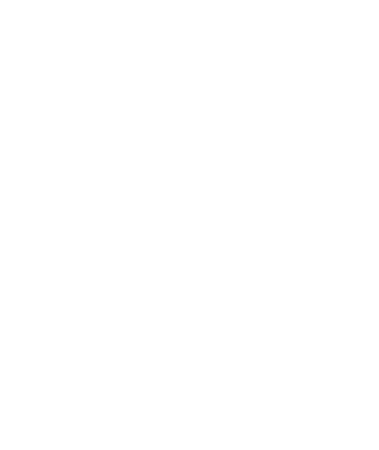 Soldiers Incorporated i Sverige AB logotyp