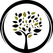 AG Vision AB logotyp