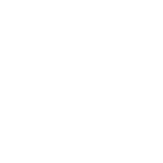 Raven Management AB logotyp
