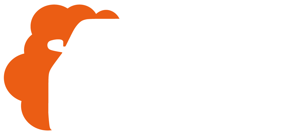 Hall Carwash AB logotyp