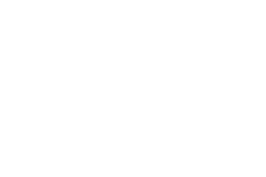 ALPE Eyewear AB logotyp