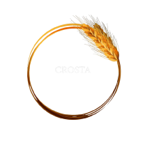 Crosta Group AB logotyp
