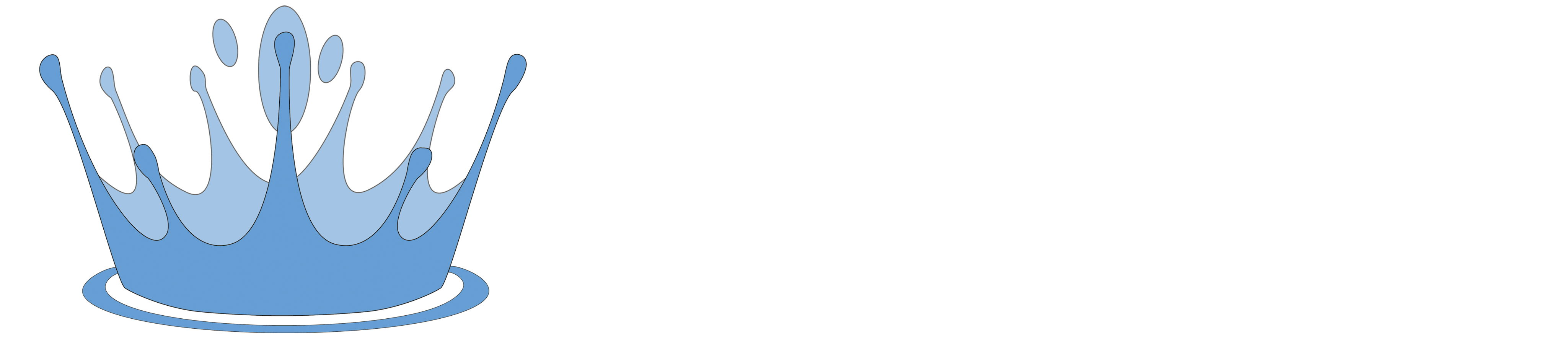 Spaservice i Väst AB logotyp