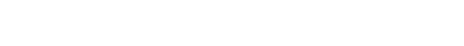 Wiking Digital Media AB logotyp