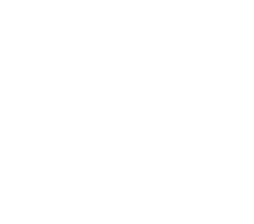The Bird Company AB logotyp