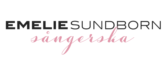 E Sundborn AB logotyp
