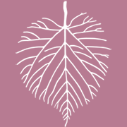 Mind Your Day AB logotyp