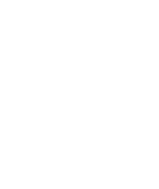 Disa Mineur AB logotyp