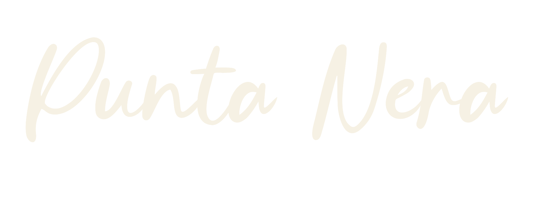 Punta Nera AB logotyp
