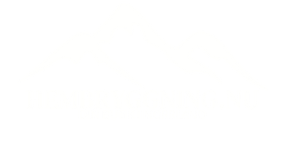 Northshine Distillery AB logotyp