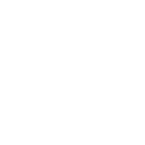 Sofia Trotz AB logotyp
