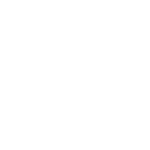 Brännatjärnen Skog och Utbildning AB logotyp