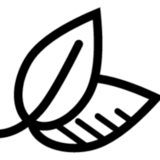 Åkermyntan Blommor AB logotyp
