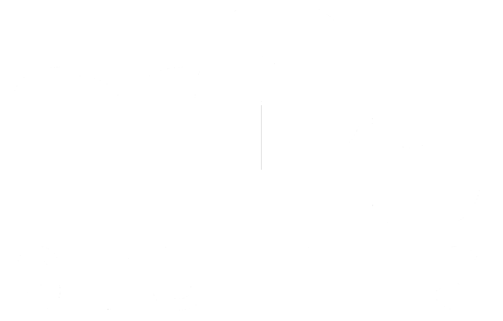 NIFTY STUDIOS AB logotyp