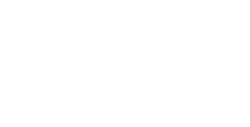 Salong Julia Fagerholm AB logotyp