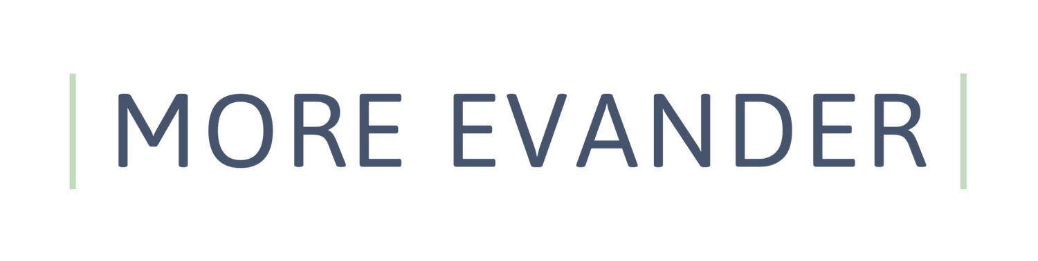 Advokatfirman MORE Evander Service AB logotyp