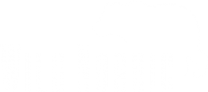 Wild Nordic Sweden AB logotyp