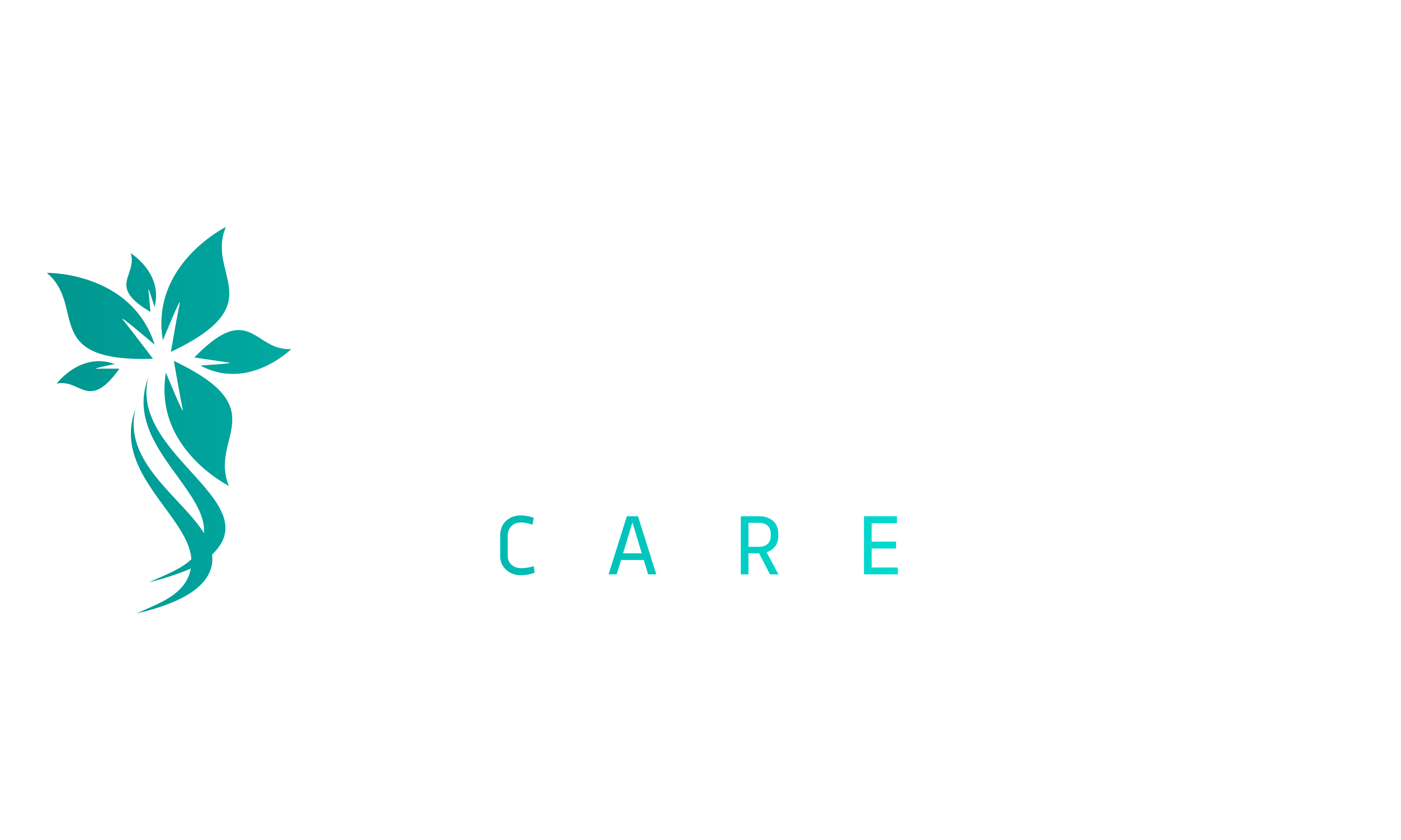 Vento Care AB logotyp