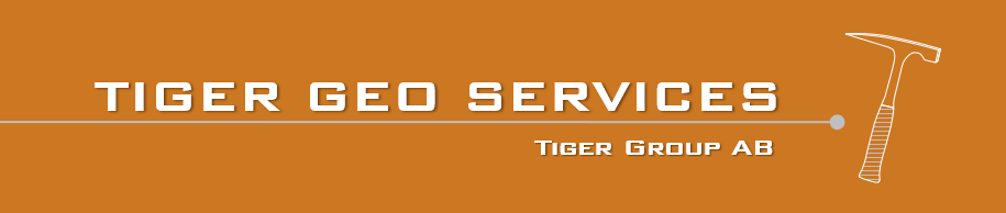 Tiger Group AB logotyp