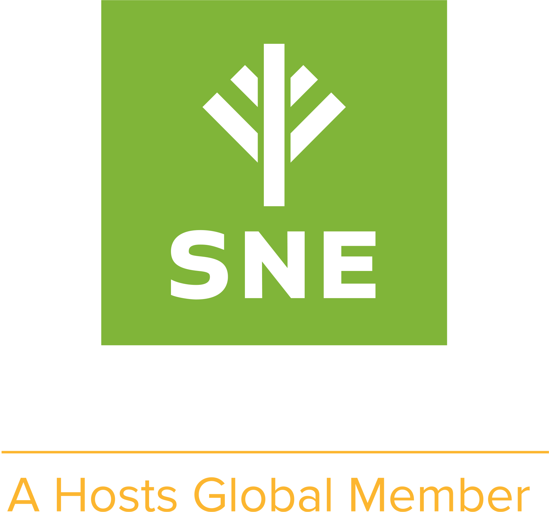 Stunning Nordic Excursions AB logotyp