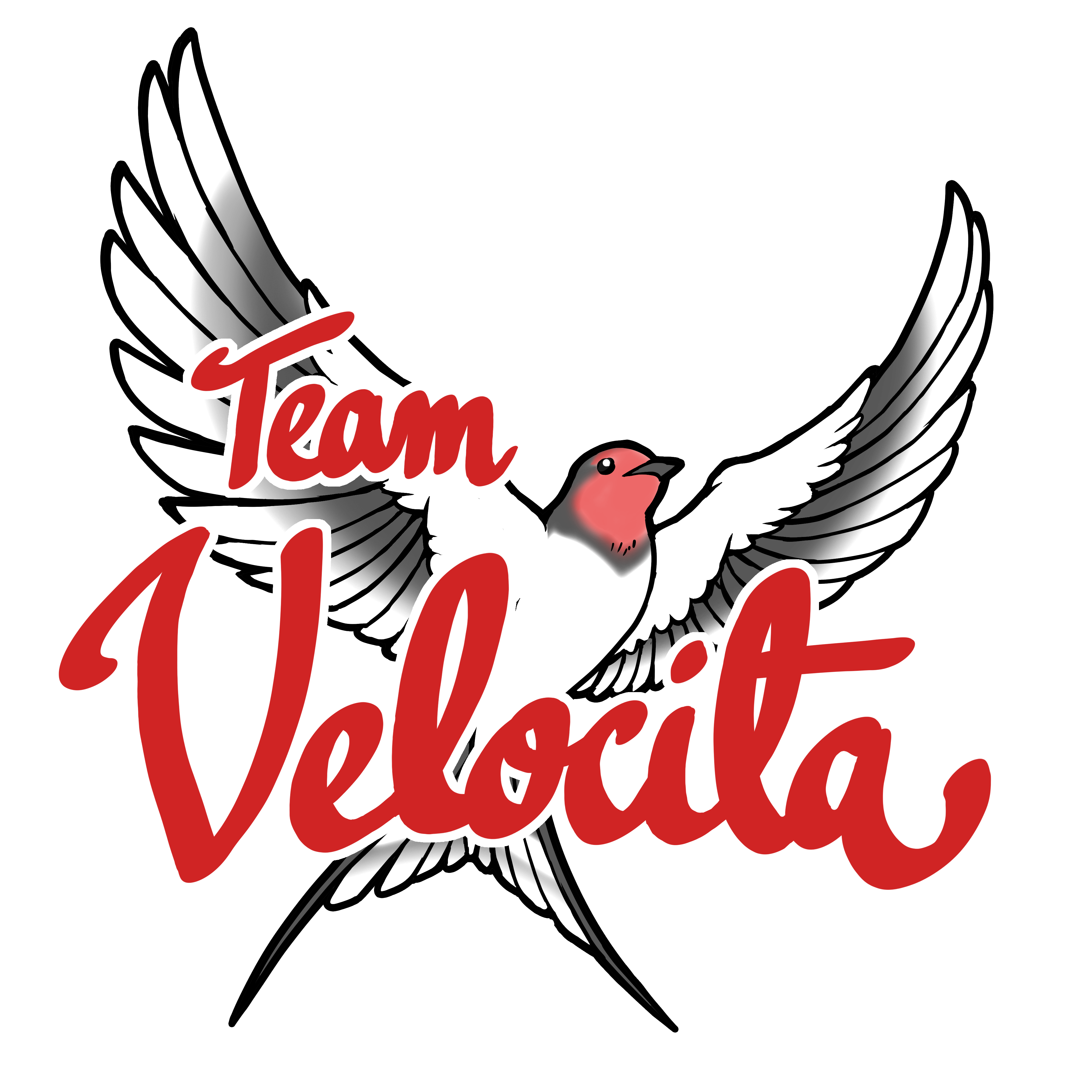 Team Velocita AB logotyp