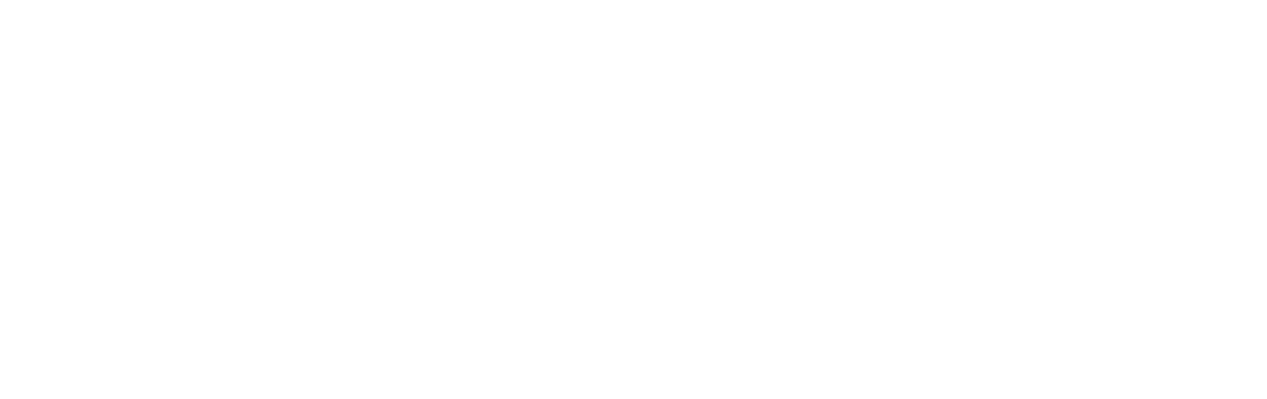Everse AB logotyp