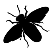 Hötofta Honung AB logotyp