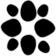 Shaping Games AB logotyp
