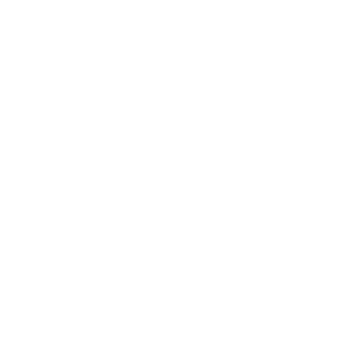 Bilproffset i Närke AB logotyp