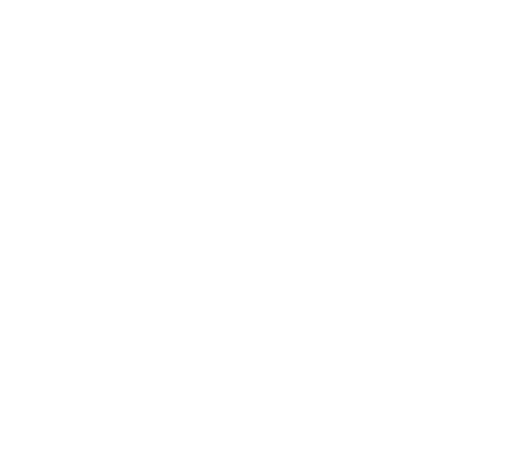 P3L AB logotyp