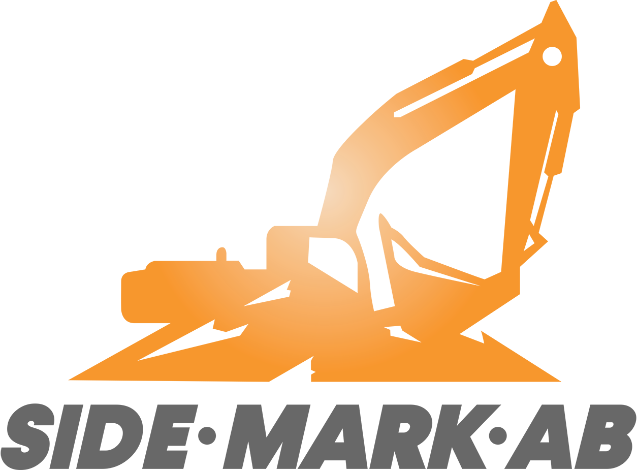 Side Mark AB logotyp